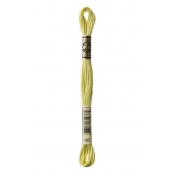 Fil Mouliné DMC Gold Concept 8M Col. 165 Broderie et Point de Croix