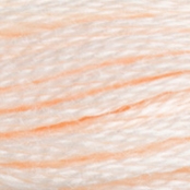 Fil Mouliné DMC Gold Concept 8M Col. 3770 Broderie et Point de Croix