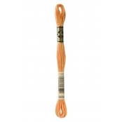 Fil Mouliné DMC Gold Concept 8M Col. 3854 Broderie et Point de Croix
