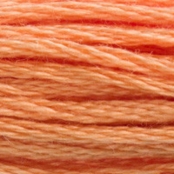 Fil Mouliné DMC Gold Concept 8M Col. 402 Broderie et Point de Croix