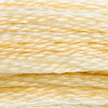 117MC/677 - 0077540051908 - DMC - Fil Mouliné DMC Gold Concept 8M Col. 677 Broderie et Point de Croix - France