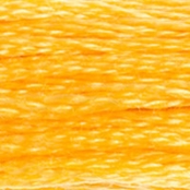 Fil Mouliné DMC Gold Concept 8M Col. 725 Broderie et Point de Croix