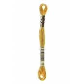 Fil Mouliné DMC Gold Concept 8M Col. 728 Broderie et Point de Croix