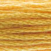 Fil Mouliné DMC Gold Concept 8M Col. 728 Broderie et Point de Croix