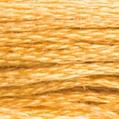 Fil Mouliné DMC Gold Concept 8M Col. 729 Broderie et Point de Croix