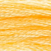 Fil Mouliné DMC Gold Concept 8M Col. 744 Broderie et Point de Croix