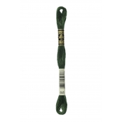 Fil Mouliné DMC Gold Concept 8M Col. 895 Broderie et Point de Croix