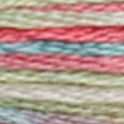 Fil Mouliné DMC Coloris 8M Col. 4501 Broderie et Point de Croix