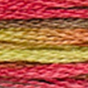 Fil Mouliné DMC Coloris 8M Col. 4510 Broderie et Point de Croix