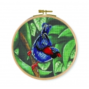 Kit Point de Croix Motif Perruche 25 x 25 cm