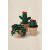 Kit Crochet Gift of Stitch Collection de Cactus