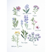 Kit Broderie Point de Croix Herbiers