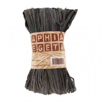 261094 - 3700043010949 - Ammi - Raphia végétal Noir 50 g