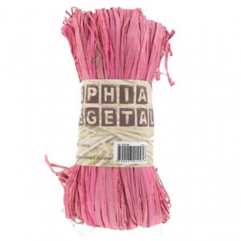 261095 - 3700043010956 - Ammi - Raphia végétal Rose 50 g