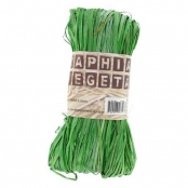 Raphia végétal Vert Pomme 50 g