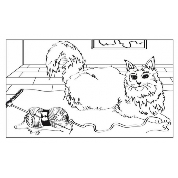 Cartes Aquarelle à Colorier Animaux 10 Pièces