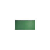 Oeufs en plastique 6 cm Vert (lot de 25)