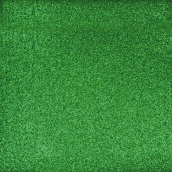  - 3700982207936 - Rayher - Papier Vert éternel Poudre paillettes 30,5 cm 5 feuil.