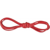 Cordon cuir Ø 1 mm Rouge 1 m