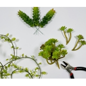 Mini Plante Grasse Succulente Artificielle Crassula 2,5 x 6,5 cm