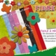 Feuilles de sisal