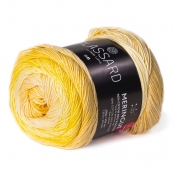 Pelote d\'été Plassard dégradé Meringue Jaune Soleil Col. 42