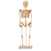 Maquette en bois Squelette