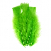 Plumes de dinde 12/18 cm 25g Vert