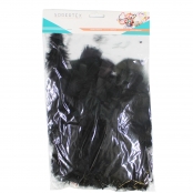 Plumes de dinde 12/18 cm 25g Noir