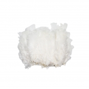 Plumes de dinde 12/18 cm 25g Blanc