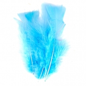 Plumes de dinde 12/18 cm 25g Bleu