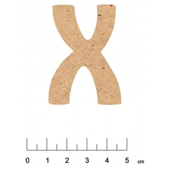 5103A - 3700611150022 - Terre & Bois Créations - Alphabet en bois MDF adhésif 5 cm Lettre X - France - 2