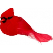 Oiseaux Rouges sur Pince 7x4,5x3,5 cm 6 pièces