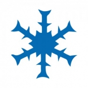Perforatrice Flocon - 2.5 cm