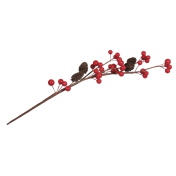 55916000 - 4006166497766 - Rayher - Branche de baies avec cônes d'aulne 35cm