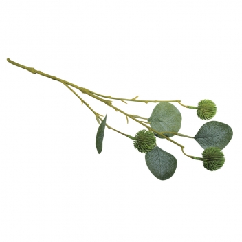 55920000 - 4006166497803 - Rayher - Branche d'eucalyptus avec fruits 40cm - 2