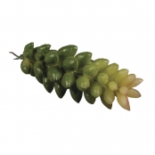 Mini Plante Grasse Succulente Artificielle Crassula 2,5 x 6,5 cm