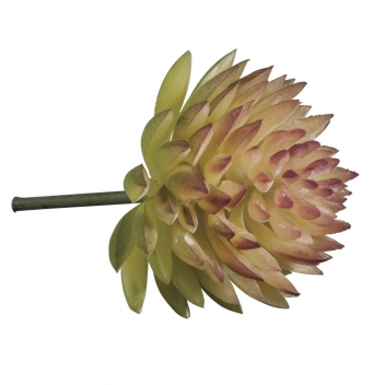 55753000 - 4006166480850 - Rayher - Mini Plante Grasse Succulente Artificielle Echeveria 4,5 x 3 cm - 2