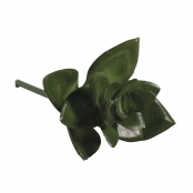Mini Plante Grasse Succulente Artificielle Haworthia 5 x 3,5 cm