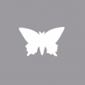 Perforatrice Papillon 1,6 cm