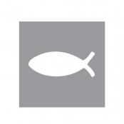 Perforatrice Poisson 1,6 cm