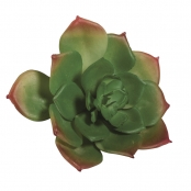 Plante Grasse Succulente Artificielle Echeveria 8,5 x 3,5 cm