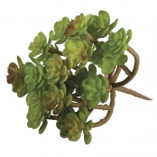 Plante Grasse Succulente Artificielle Sedum 9,5 x 8 cm