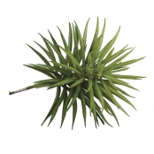 Plante Grasse Succulente Artificielle Senecio 10 x 9,5 cm