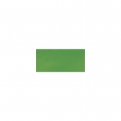 Peinture sur fenêtre Vert éternel