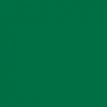 121N - 3760327831165 - MegaCrea - Flex Thermocollant UniFlex Nature Vert Feuille A4 - France - 2