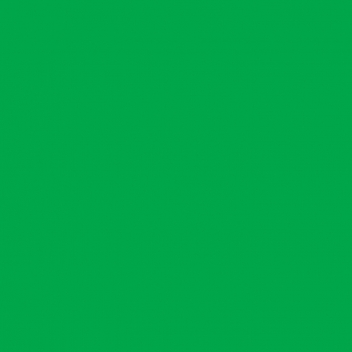 130A - 3760327831455 - MegaCrea - Flex Thermocollant UniFlex A Vert Fluo Feuille A4 - France - 3