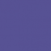 Flex Thermocollant UniFlex Nature Violet Feuille A4