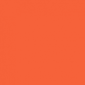 107N - 3760327831103 - MegaCrea - Flex Thermocollant UniFlex Nature Orange Feuille A4 - France - 2