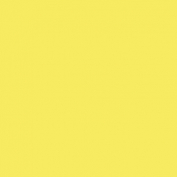 104N - 3760327831080 - MegaCrea - Flex Thermocollant UniFlex Nature Jaune soleil Feuille A4 - France - 2
